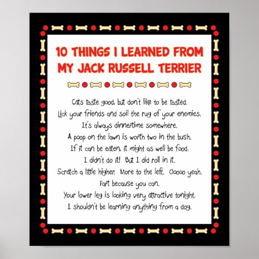 Witziges, was ich vom Jack Russell Terrier gelernt Poster (Vorne)