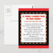 Witziges, was ich von meiner irischen Terrier gele Postkarte (Vorne/Hinten)