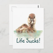 Witziges Zitat, das Leben Ist zum Kotzen, Engel, V Postkarte (Vorne/Hinten)