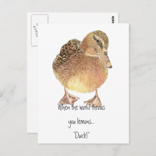 Witziges Zitat, das Leben wirft Lemon, Ente, Spaß Postkarte (Vorne/Hinten)