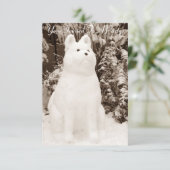 Witzschnee akita Schneemann Weißhundefoto Einladung (Stehend Vorderseite)