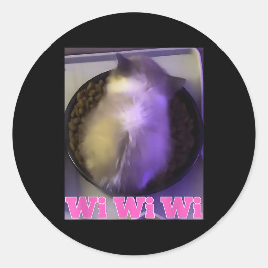 Wiwiwi Cat Meme Runder Aufkleber (Vorderseite)