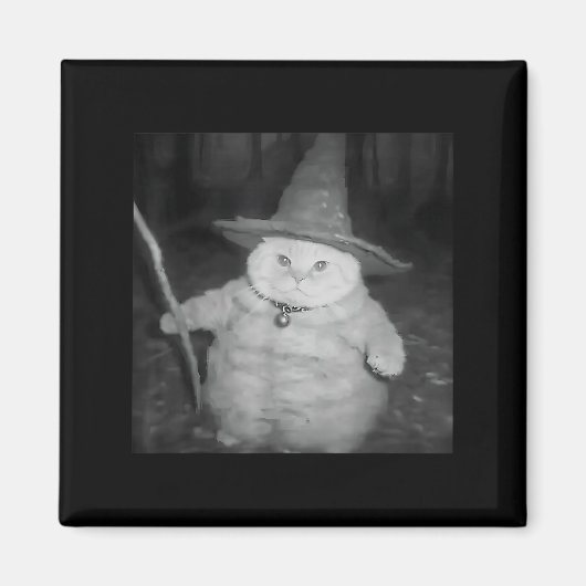 Wizard Cat Weird Funny Halloween Cat Meme Magnet (Vorne)