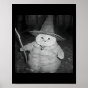 Wizard Cat Weird Funny Halloween Cat Meme Poster