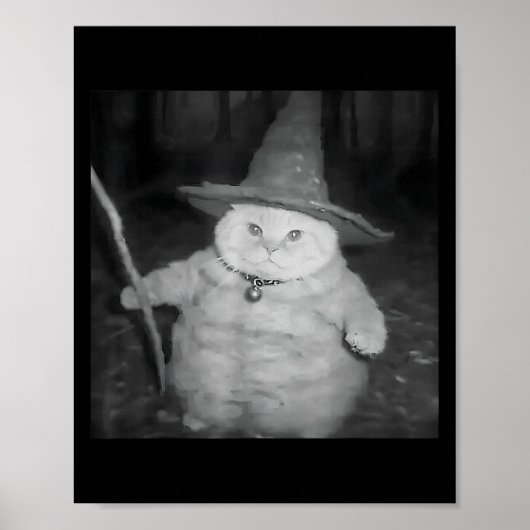 Wizard Cat Weird Funny Halloween Cat Meme Poster (Vorne)