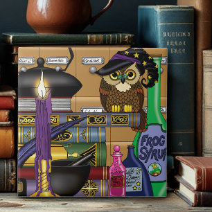 Wizard Owl Books Tränke Fliese