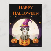 Wizard Raccoon Postkarte (Vorderseite)