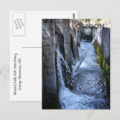 Wizards Fall Postkarte (Vorne/Hinten)