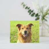 WJ Hund Design Postkarte (Stehend Vorderseite)