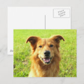WJ Hund Design Postkarte (Vorne/Hinten)