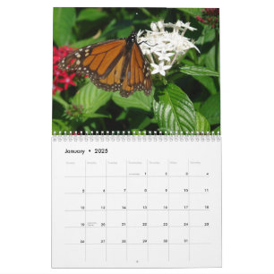 WKS-BILDER-Kalender Kalender