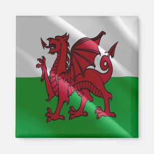 WLS002 Waving FLAG Schweißwale, Kühlschrank Magnet