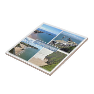 WLS004 GOWER Halbinsel Mumbles, Wales, Fliese