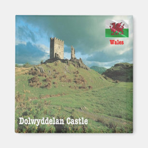 WLS015 DOLWYDDELAN CASTLE, Wales, Europa, Kühlschr Magnet