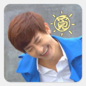 WLWI Aufkleber (Vorderseite)