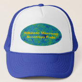 WMAP Microwave Anisotropy Probe Universe Map Truckerkappe (Vorderseite)