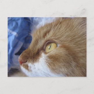 Wo betrachten Sie? Postkarte