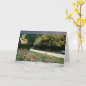 Wo bin ich? #4b Karte (Gelbe Blume)