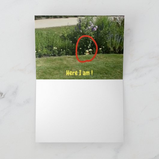 Wo bin ich? #5b Karte (Innenseite)