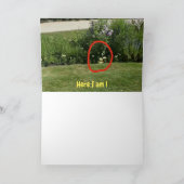 Wo bin ich? #5c-Karte Karte (Innenseite)