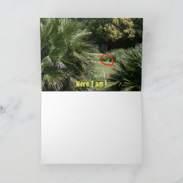 Wo bin ich? #5d Card Karte