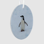 Wo bin ich? ornament (Vorderseite)