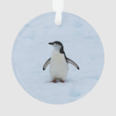 Wo bin ich? ornament (Rückseite)