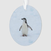 Wo bin ich? ornament (Vorderseite)