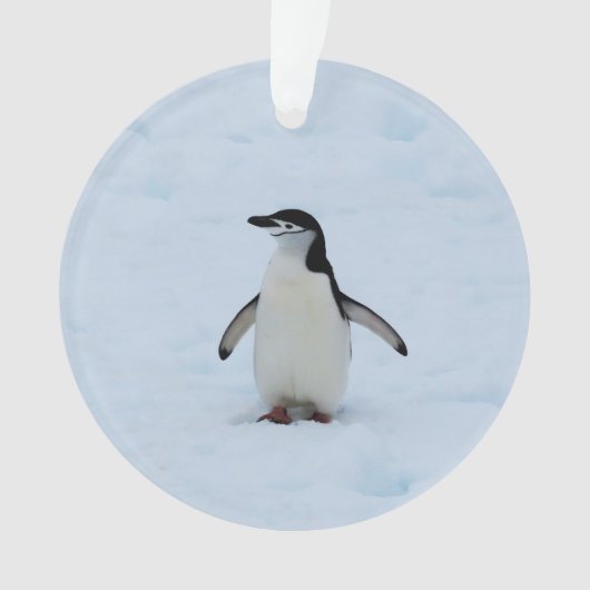 Wo bin ich? ornament (Vorderseite)