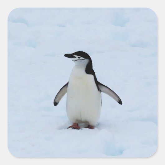 Wo bin ich? quadratischer aufkleber (Vorderseite)