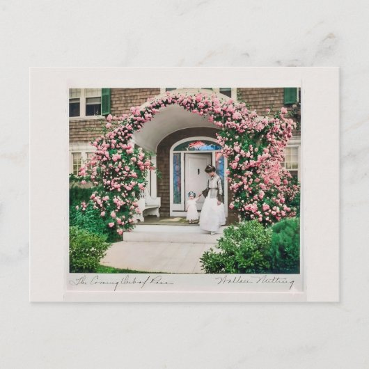 Wo Blumen blühen, da blüht auch Hoffnung. Postkarte (Vorderseite)