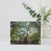 Wo das Leben beginnt Postkarte (Stehend Vorderseite)