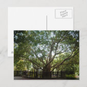 Wo das Leben beginnt Postkarte (Vorne/Hinten)