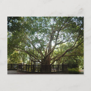 Wo das Leben beginnt Postkarte