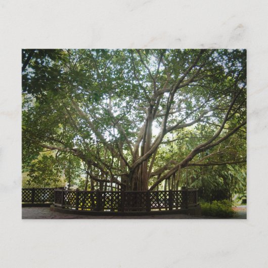 Wo das Leben beginnt Postkarte (Vorderseite)