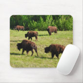 Wo der Bison Roam Mousepad (Mit Mouse)