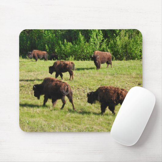 Wo der Bison Roam Mousepad (Mit Mouse)
