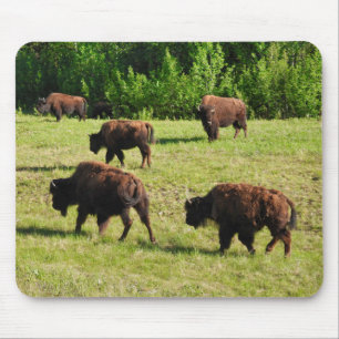 Wo der Bison Roam Mousepad