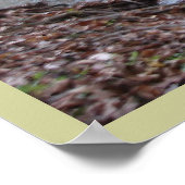 Wo der rote Fern wächst Poster (Ecke)