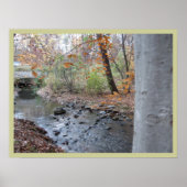 Wo der rote Fern wächst Poster (Vorne)