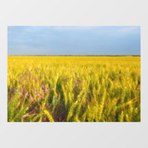 Wo der Weizen mit dem Wind tanzt - Wilde Natur