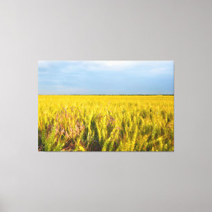 Wo der Weizen mit dem Wind tanzt - Wilde Natur Leinwanddruck