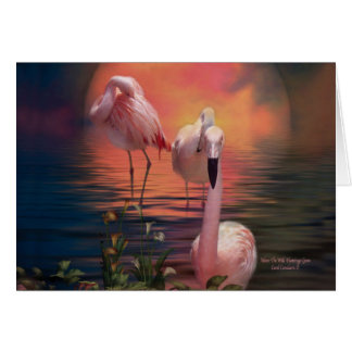 Wo der wilde Flamingo ArtCard wachsen