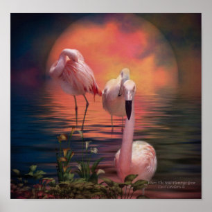 Wo der wilde Flamingo Plakat/Druck wachsen Poster
