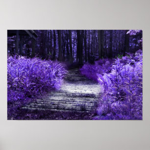 wo die Fee spielen, Gerahmt Print Poster