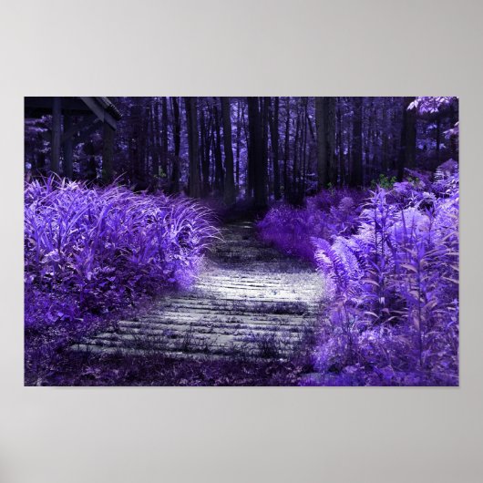 wo die Fee spielen, Gerahmt Print Poster (Vorne)