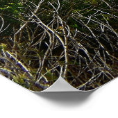 Wo die Felsen das Meer treffen - Ausgangspunkt Poster (Ecke)