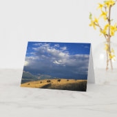 Wo die Grußkarte vom Buffalo Roaming ist Karte (Gelbe Blume)