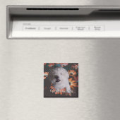 Wo die Liebe wohnt Magnet (In Situ (Geschirrspüler))