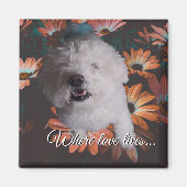 Wo die Liebe wohnt Magnet (Vorne)